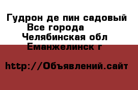 Гудрон де пин садовый - Все города  »    . Челябинская обл.,Еманжелинск г.